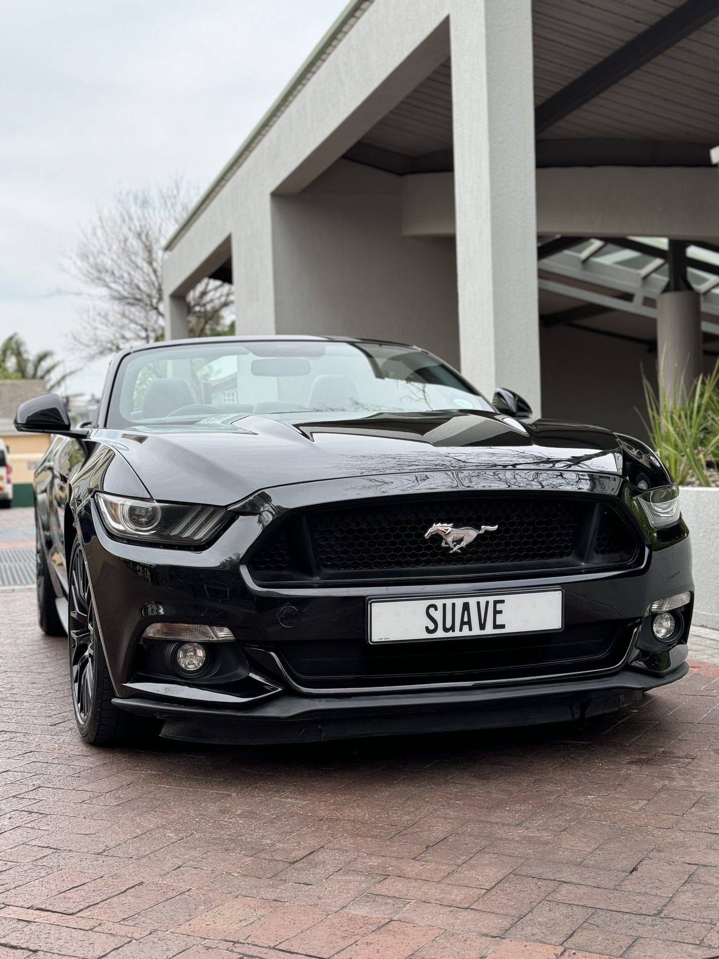 Ford Mustang GT - Black