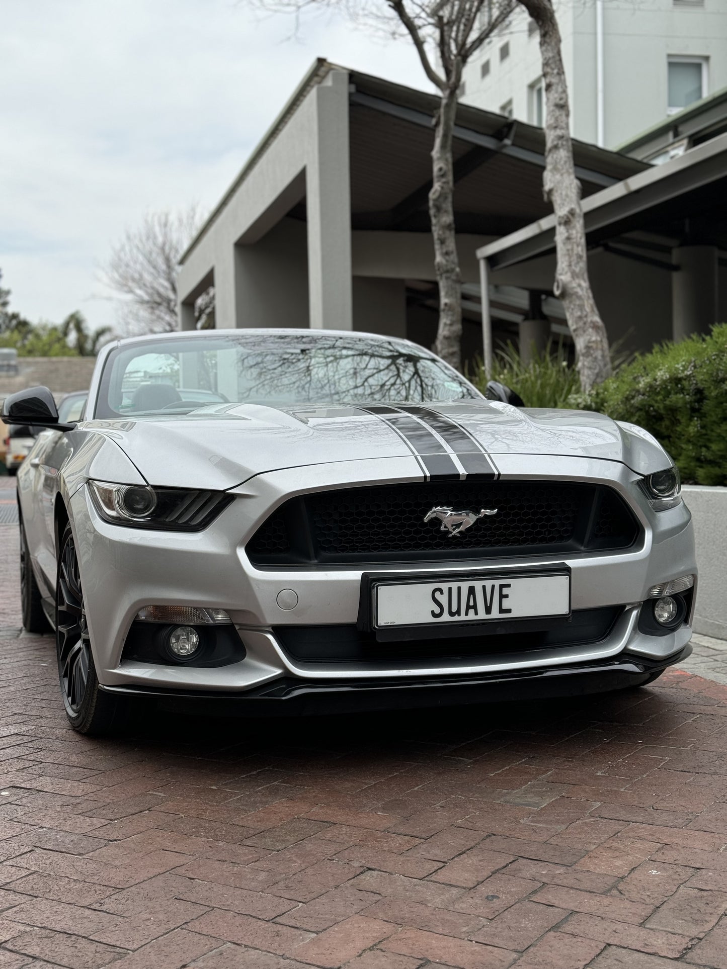 Ford Mustang GT - Grey