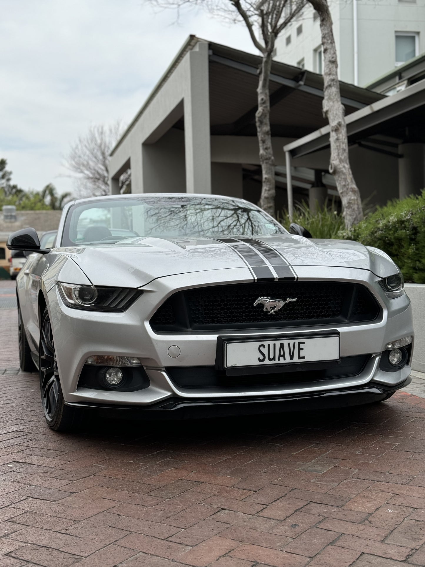 Ford Mustang GT - Grey